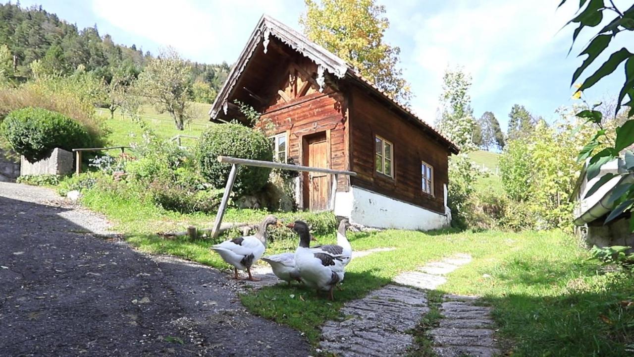 Haus Holler Apartment Wallgau Luaran gambar